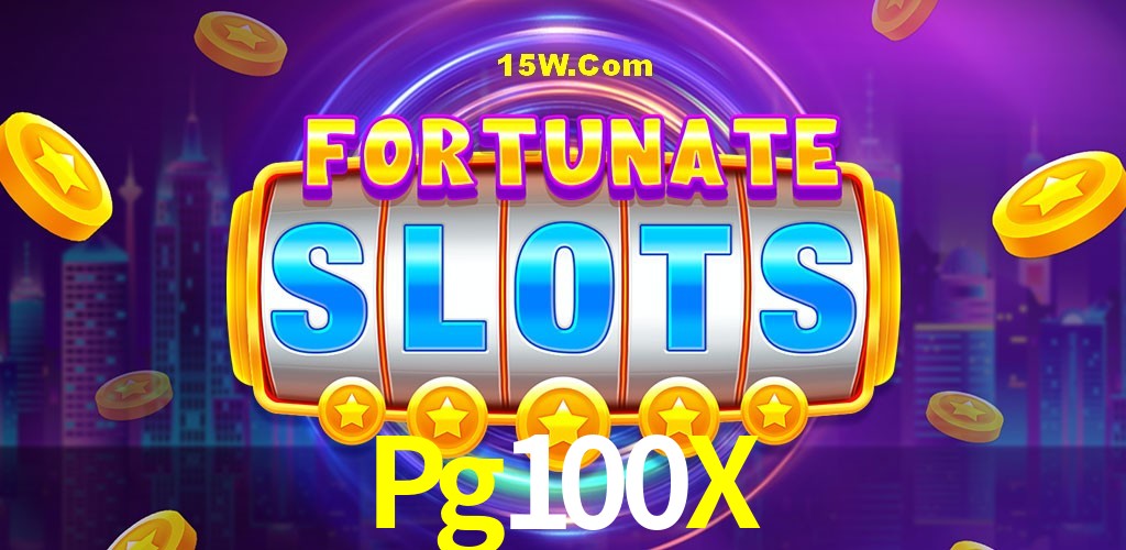 Experiência VIP Pg100X